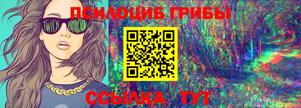 Славгород  Галлюциногенные грибы Magic Shrooms  Галлюциногенные грибы Psilocybine cubensis  Вход с VPN 